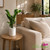 Live ZZ Plant with glossy green foliage displayed in a modern white planter with decorative white stones.