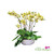 Luxury Phalaenopsis orchid centerpiece bright blooms sculptural Miami interior décor