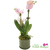 Decorative Phalaenopsis orchid arrangement for home and office décor