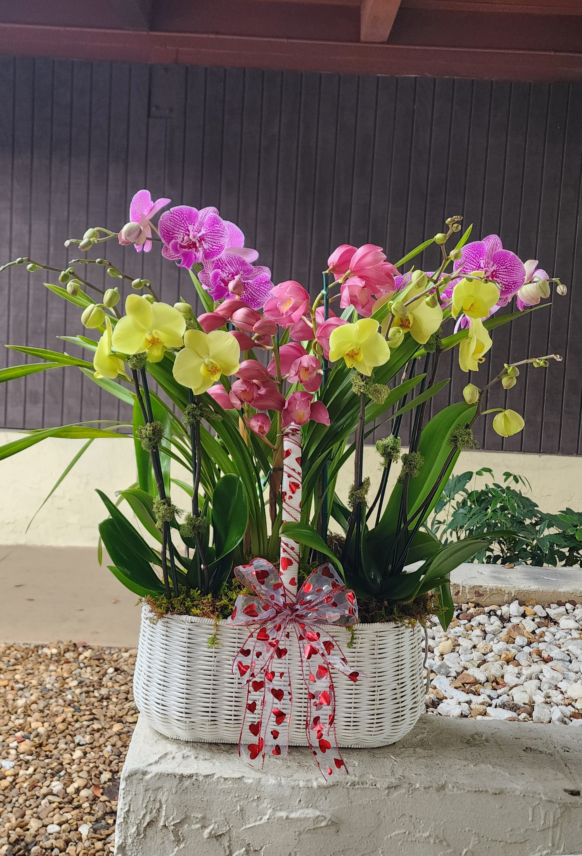 BEST ORCHID ARRANGEMENTS FOR OFFICE DECOR & WORKSPACES - Natural ...