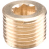 TDV419 Dominion Brass Plug Countersunk Hex