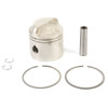 18-4110 Sierra Piston & Rings Kit Johnson / Evinrude .020