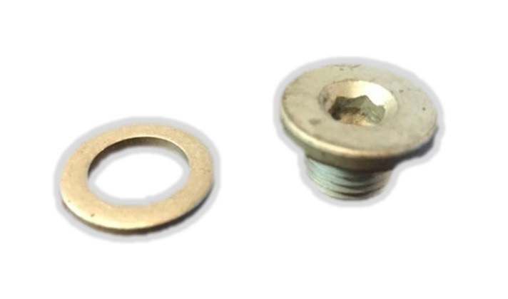 307551 OMC Johnson / Evinrude Allen Type Oil Drain Plug w Washer