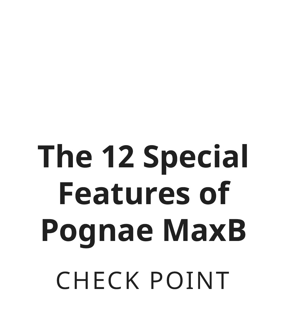 maxb-page3-en.jpg