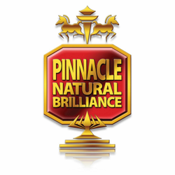 Pinnacle Onyx Trim Restorer