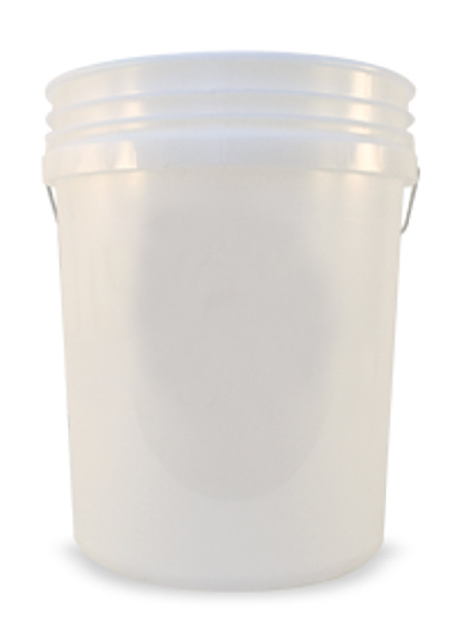 5 Gallon Professional Wash Bucket with Grit Guard - CLEAR