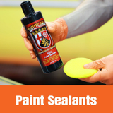 Paint Sealants 