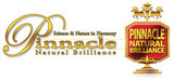 Pinnacle Complete Paint Care System