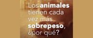 Porque cada animal es único