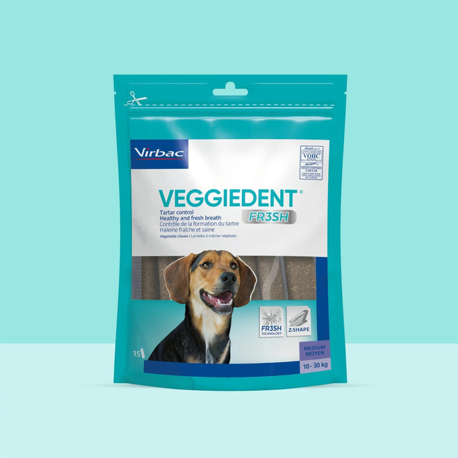 ES_VEGGIEDENT_FRESH_UNITY_VISUAL_7_2026.jpg