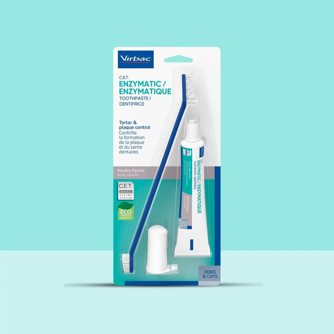 ES_CET-Dental_Visual-1_2026.jpg