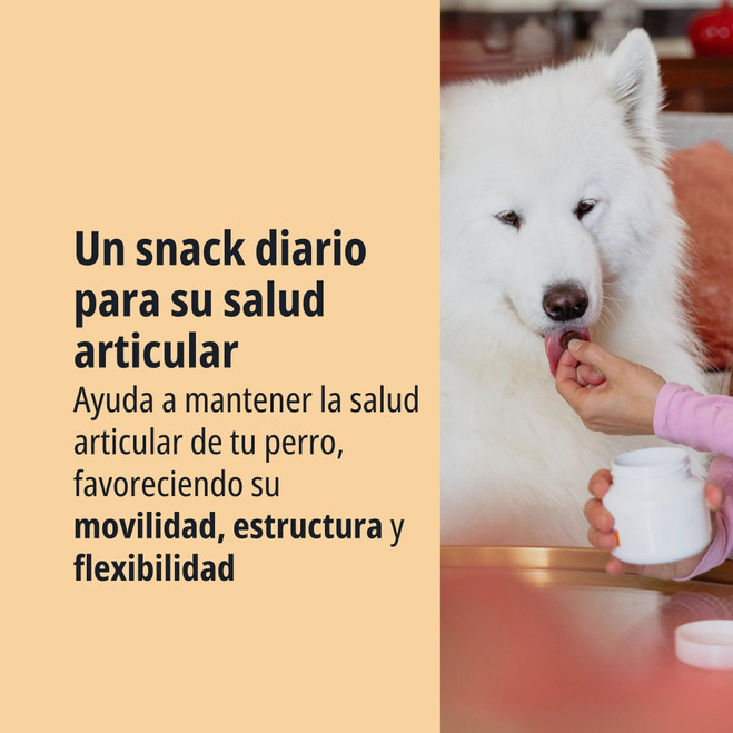 ES_MOVOFLEX_DOG_VISUAL_3.1_2026.jpg