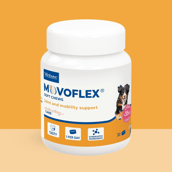 ES_MOVOFLEX_DOG_VISUAL_8.1_2026.jpg