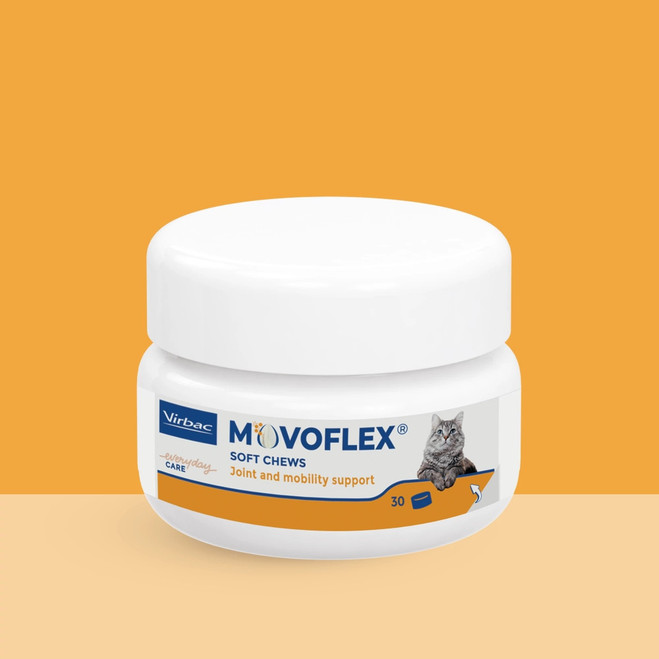 ES_MOVOFLEX_VISUAL_1_2026.jpg