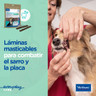 Láminas masticables para combatir el sarro y placa para perros