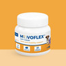 ES_MOVOFLEX_DOG_VISUAL_7.1_20267.jpg
