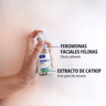 ES_Zenifel-spray_Visual-3_2026.jpg