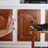 ES_Zenifel-spray_Visual-4_2026.jpg
