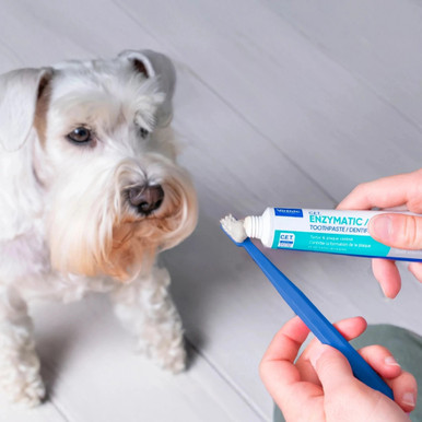 C.E.T. - Pasta de dientes enzimática para perros y gatos - Tubo de pasta – imagen 2