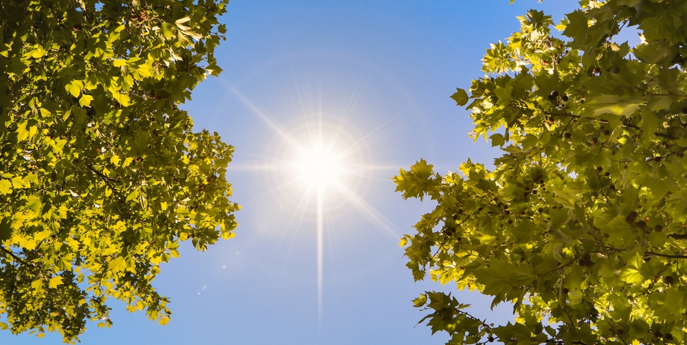 Hot weather