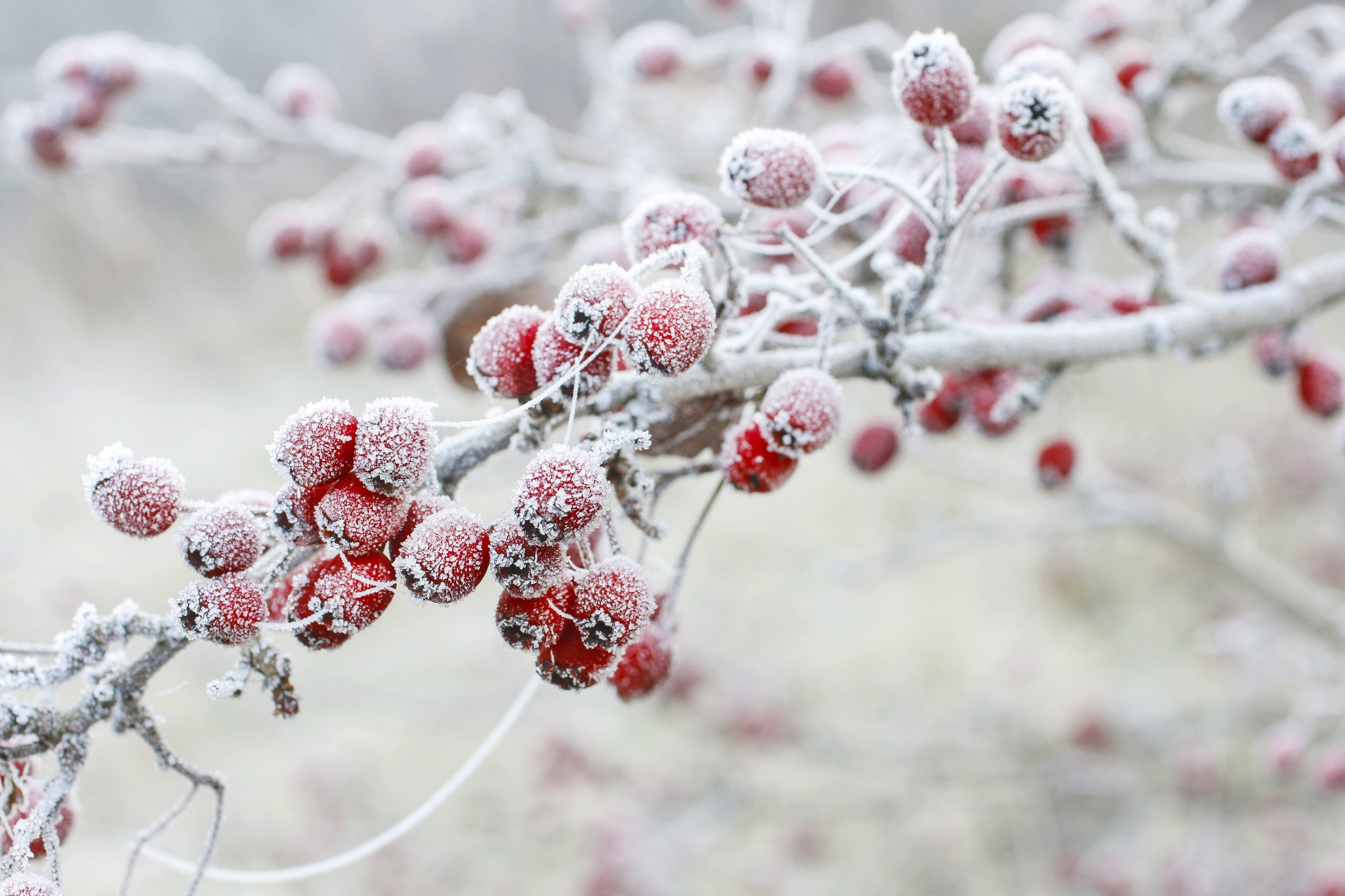 Cold weather
