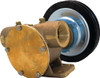 Johnson 10-13022-95 1-1/4-in. NPT Heavy-Duty Electro-Magnetic Clutch Pump