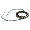 Force Outboard Stator 176-3095