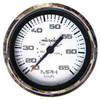 SPEEDO 65MPH SS BEZEL