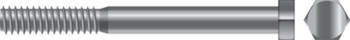 1/4-20X4 HXCAP SCR SS 25/BG