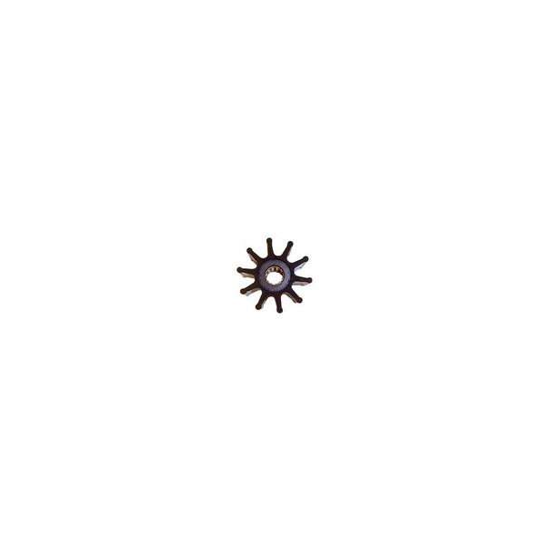 Top View