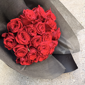 Two Dozen Elegant Special 