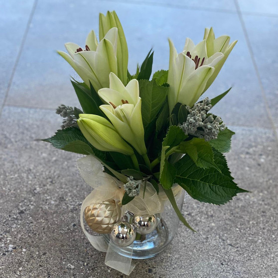 
Classic white Christmas lilies in a vase vase with seasonal foliage. Themed in a Christmas wrap and delivered in our white carry bag. 