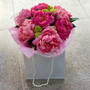 Beautiful Peonies 