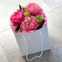 Pretty Peonies 