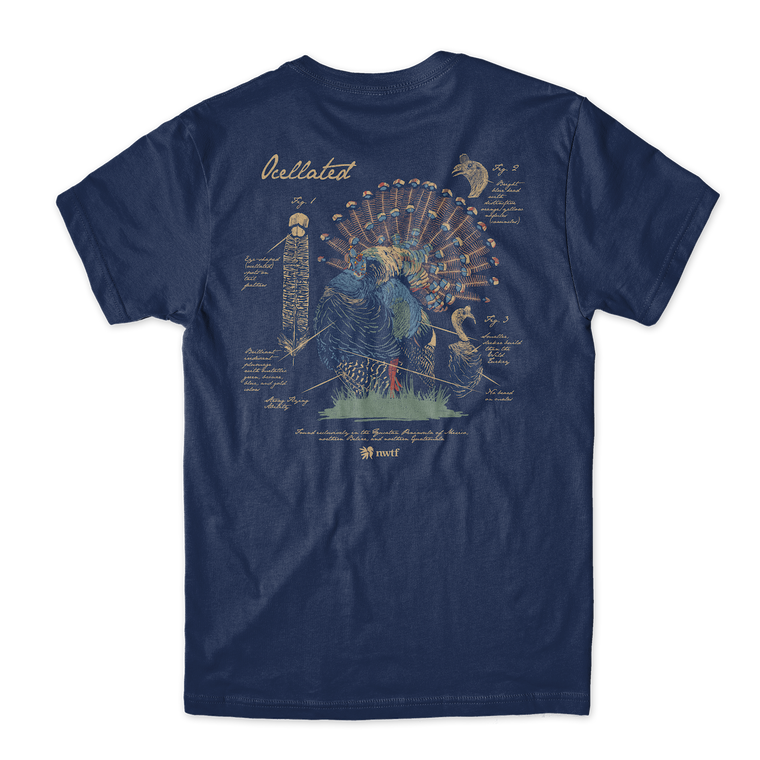 Ocellated Turkey Tee