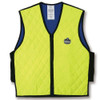 Ergodyne Chill-Its Evaporative Cooling Vest - 6/Case. Shop Now!