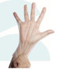 Lifeguard 4050 Stretch Hybrid Transparent Gloves. Shop Now!