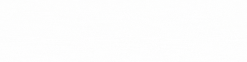 Stretchers & Wheelchairs