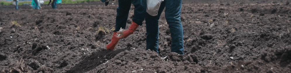 Nitrile Gloves Chemical Resistant