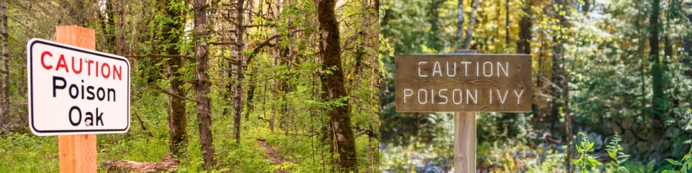 Poison Oak & Ivy Barrier