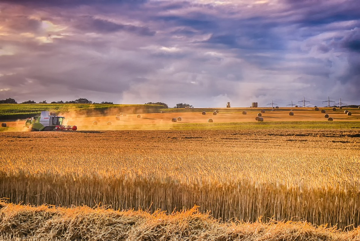 OSHA Raises Awareness for Grain Industry Safety