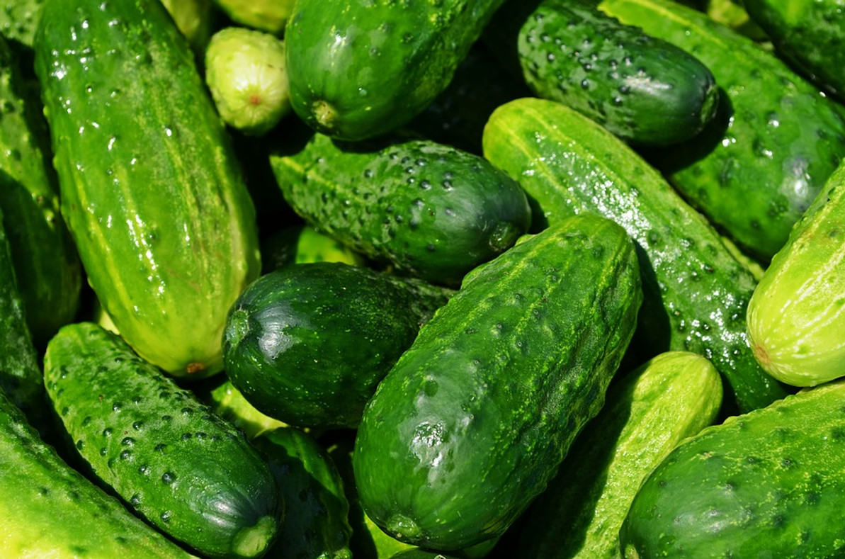 Protein in Cucumbers and Other Veggies Linked to Alzheimer's