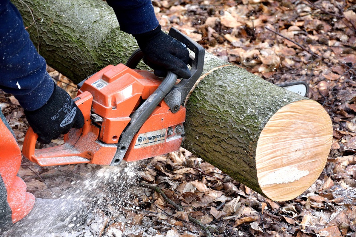 5 Safety Tips to Follow When Using a Chainsaw