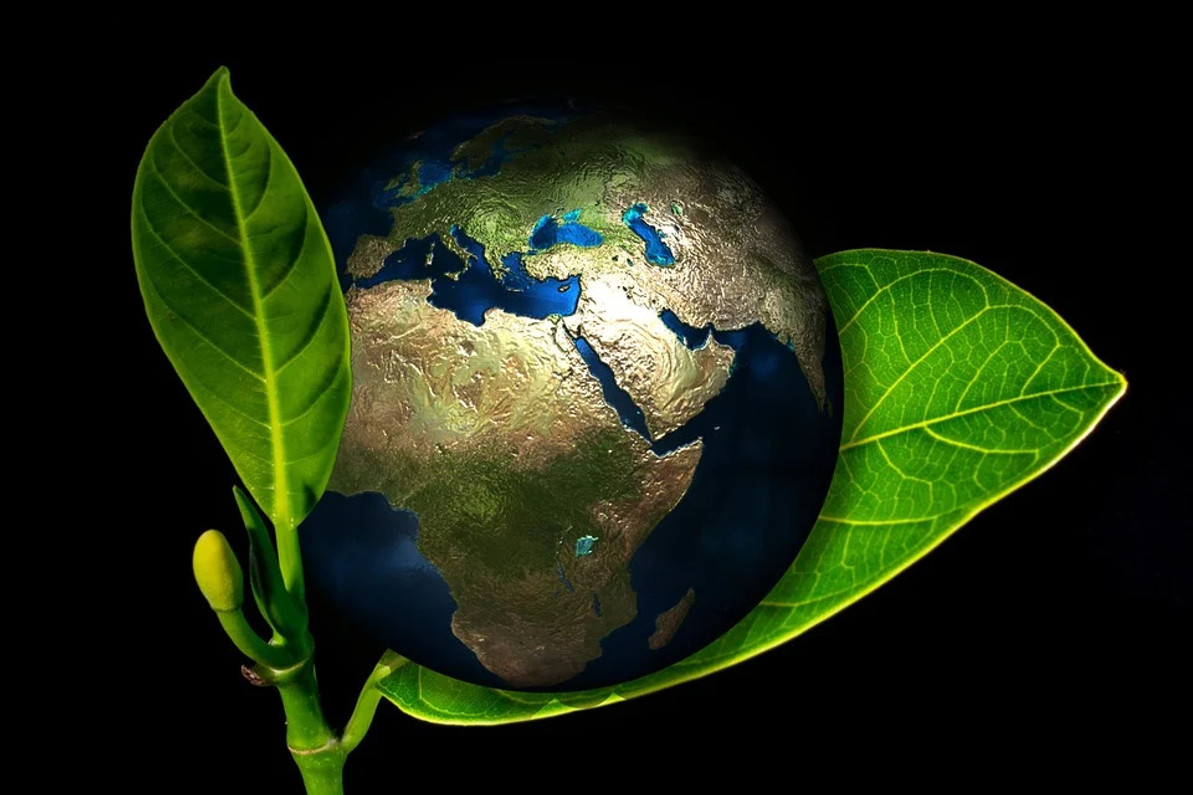 How to Go Green in the Workplace