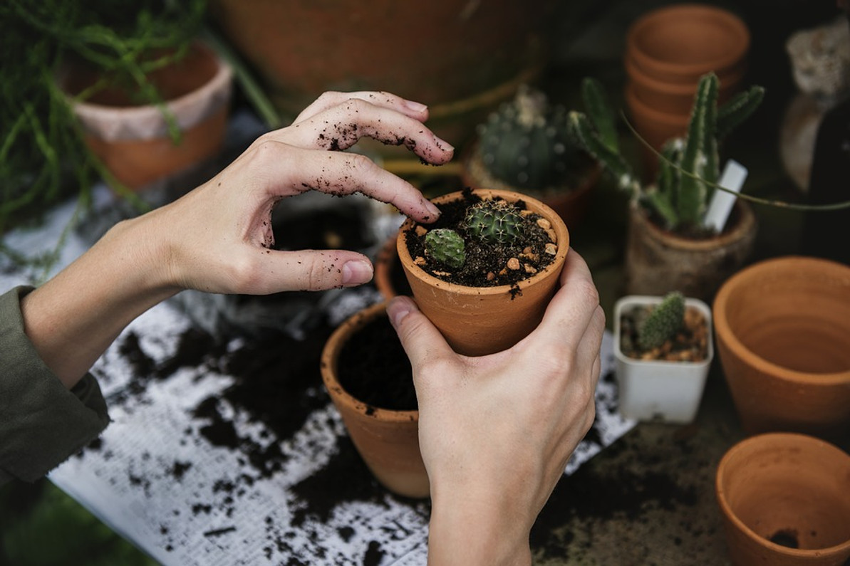 How to Protect Your Hands From Injury When Gardening