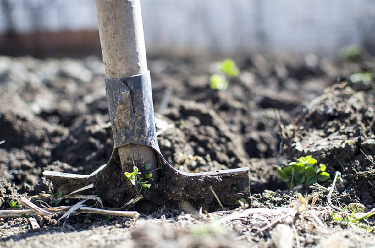 6 Safety Tips to Follow When Digging Holes With a Spade