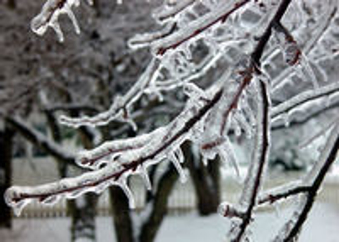 How to Prepare for an Ice Storm