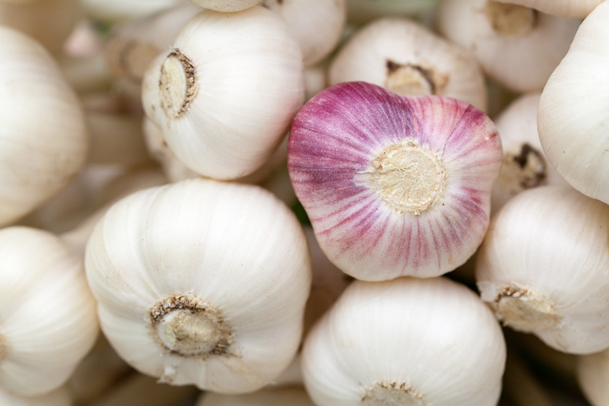 The Health Benefits of Garlic: What You Should Know