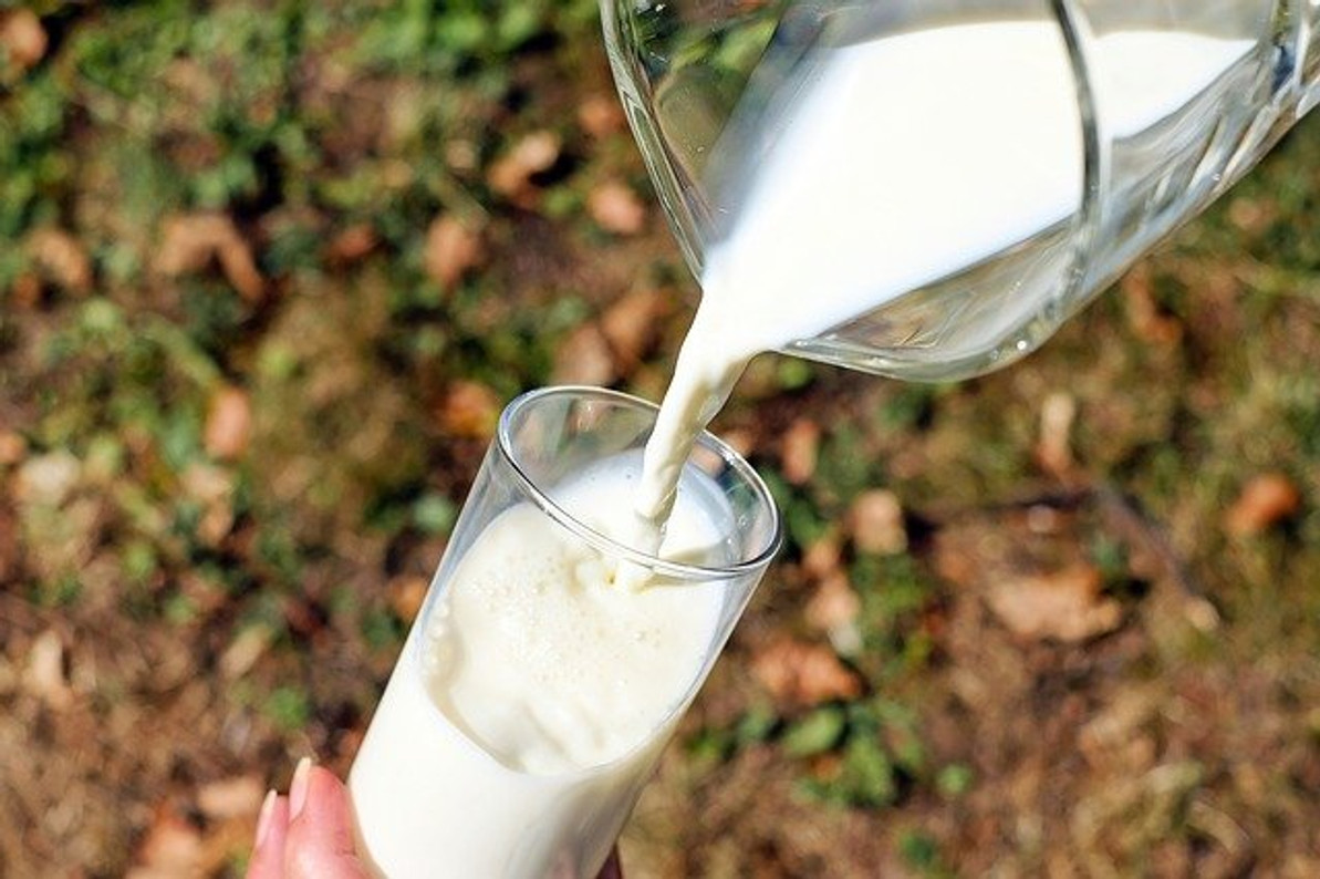 Study: Dairy Fat Linked to Lower Risk of Heart Disease