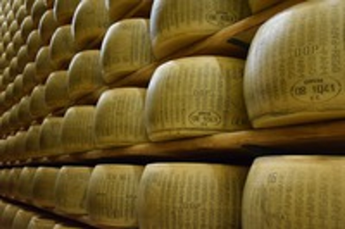 Study: Full-Fat Cheese Offers Health Benefits